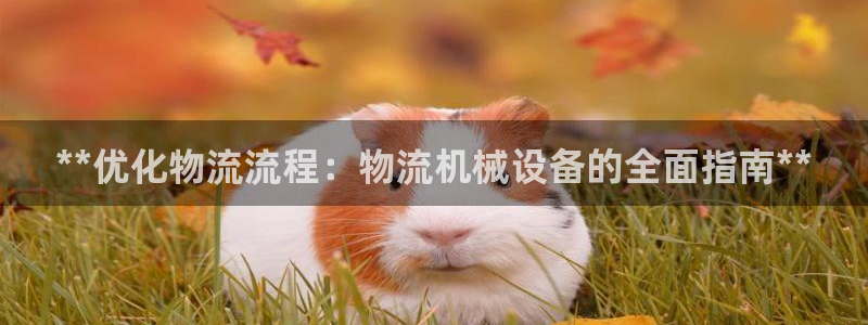 ag九游会