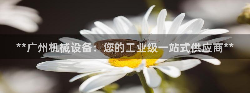 九游会手机登陆