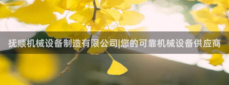 j9九游会真人游戏第一