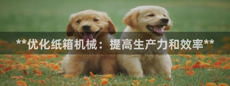 ag九游会
