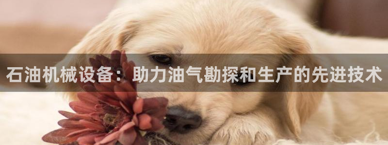 九游会app官方下载安卓