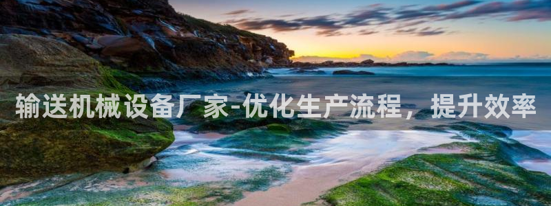 九游会ag入口