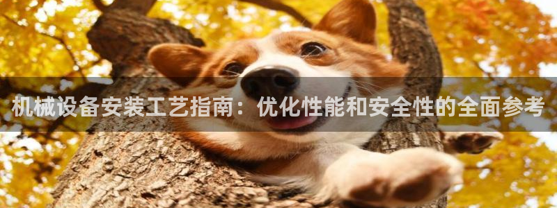j9九游会app下载