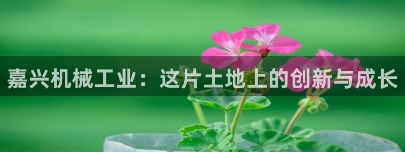 九游会游戏客服