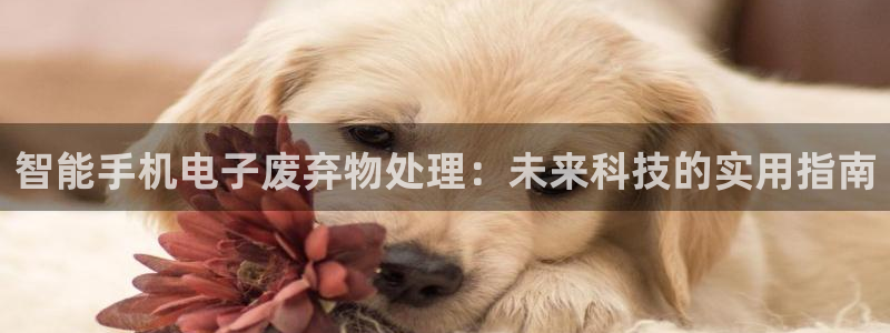 ag8九游会登入