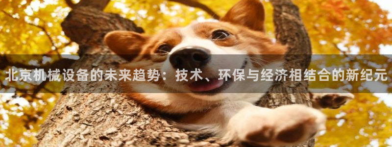 九游会官网入口